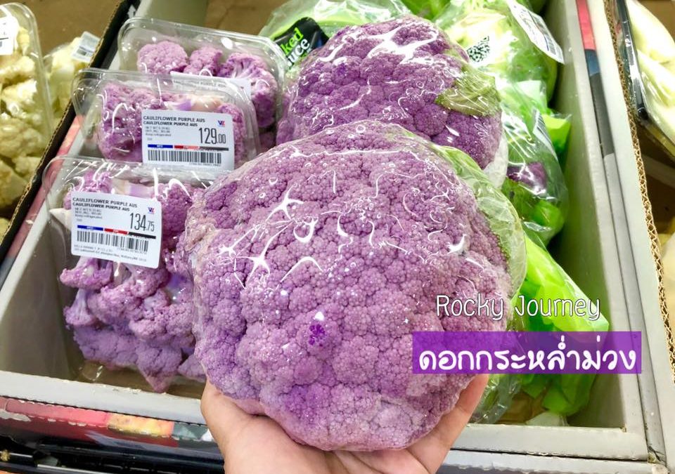 Purple cauliflower ดอกกระหล่ำสีม่วง